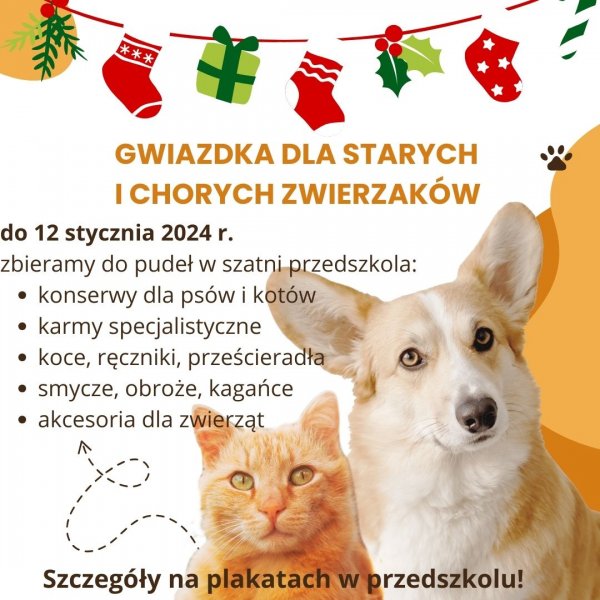 Gwiazdka dla starych i chorych zwierząt